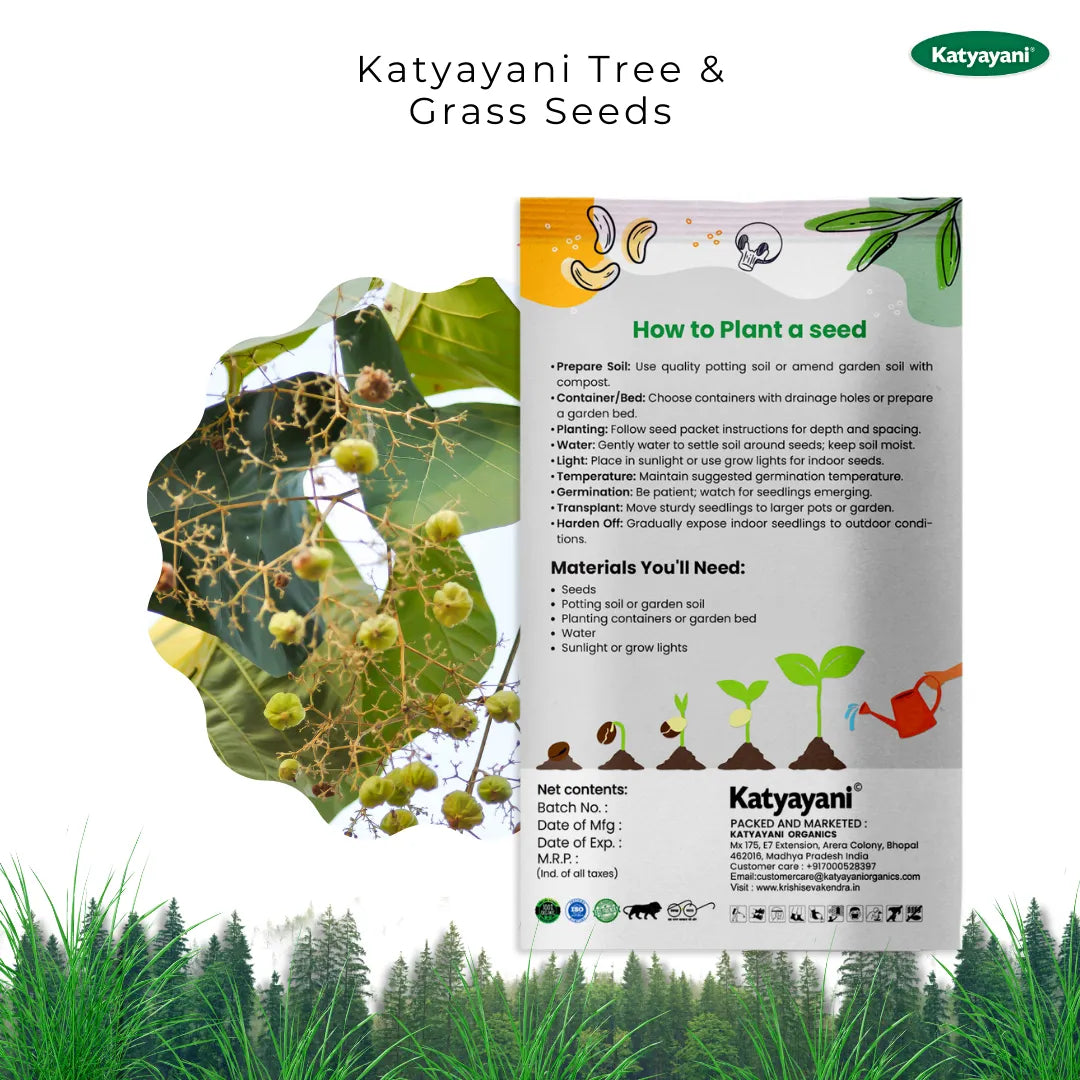 GGV Teak (Tectoma Grandis) 100 g Tree and Grass seeds