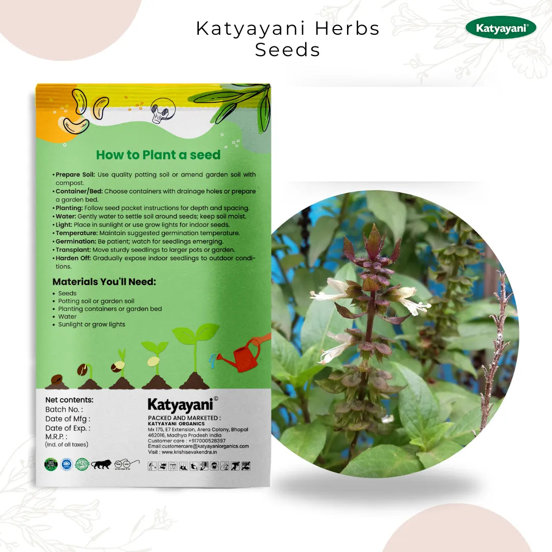 GGV Tulsi (Holy Basil) Herb seeds