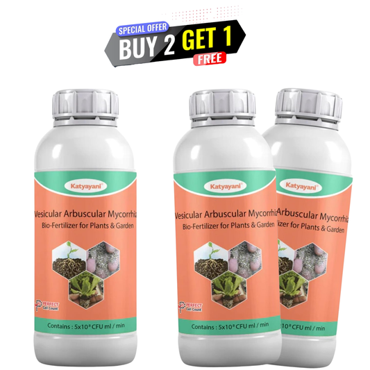 GGV Vesicular Arbuscular Mycorrhiza (VAM)