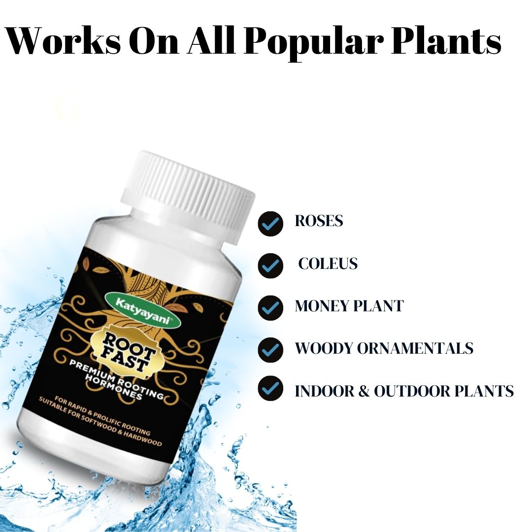 Rooting Hormone - ROOT FAST - Growth Regulator
