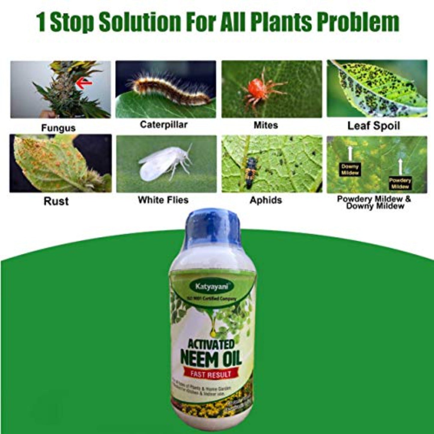 GGV NPK 19 19 19 Plant Food Fertilizer with Booster for Plants & Home Garden