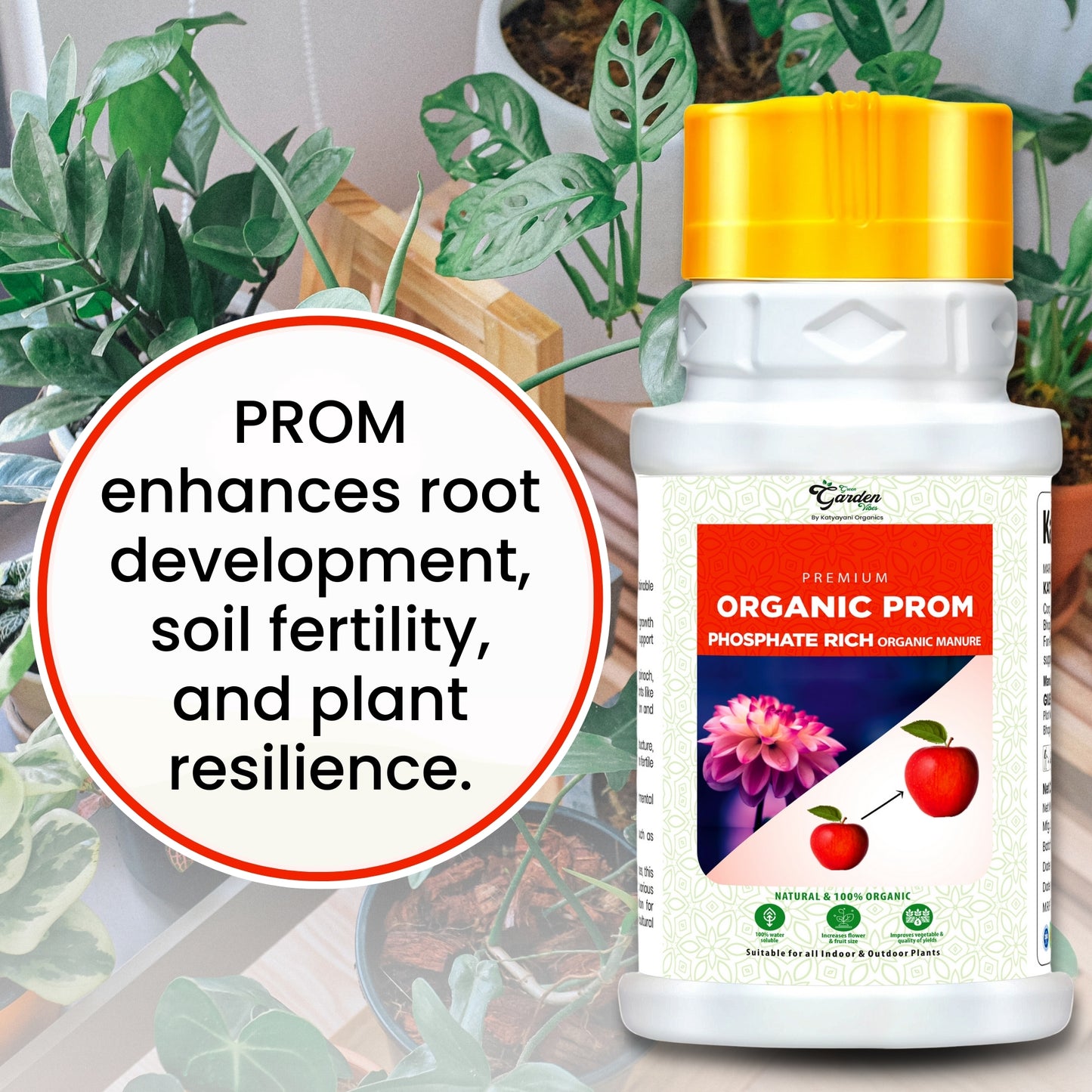 GGV Prom organic fertilizer