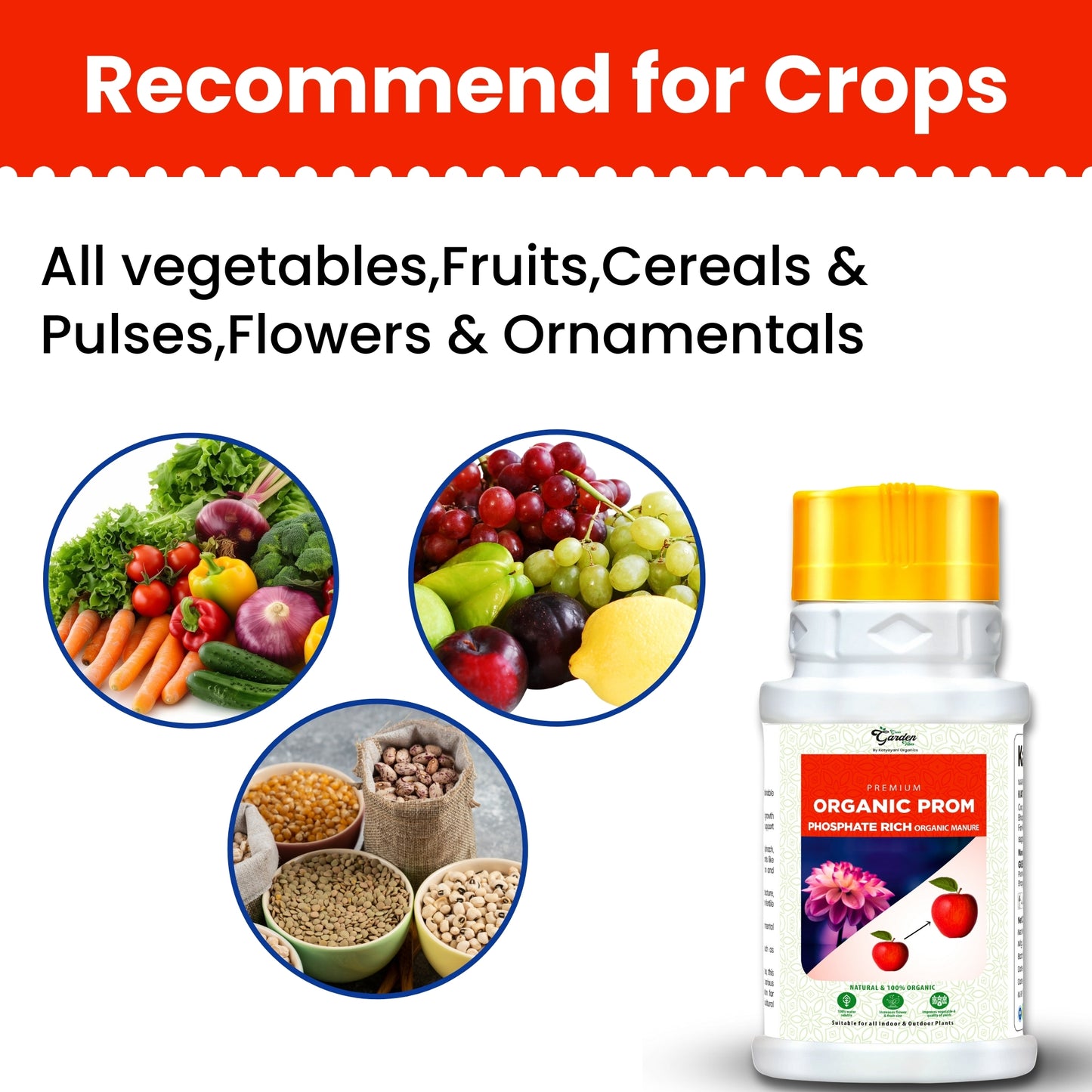 GGV Prom organic fertilizer