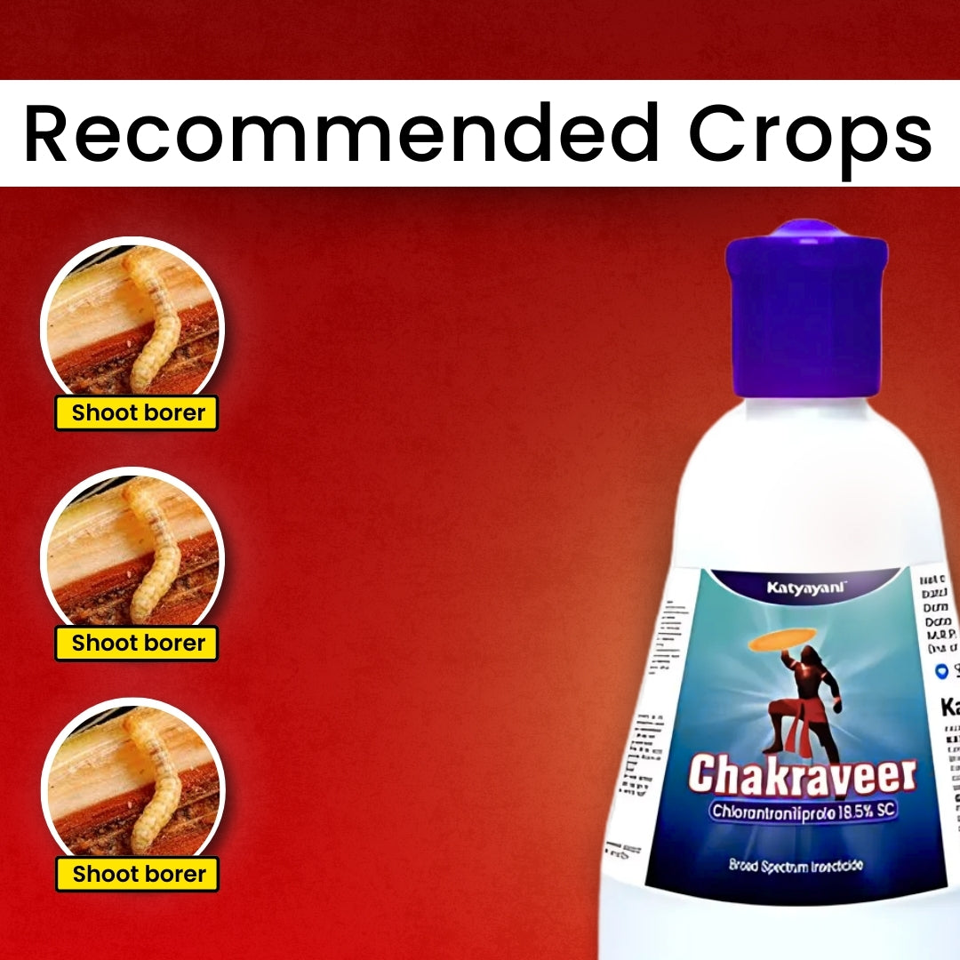 GGV Katyayani Chakraveer – Chlorantraniliprole 18.5% SC Broad-Spectrum Insecticide for Crop Protection Buy 1 Get 2 Free