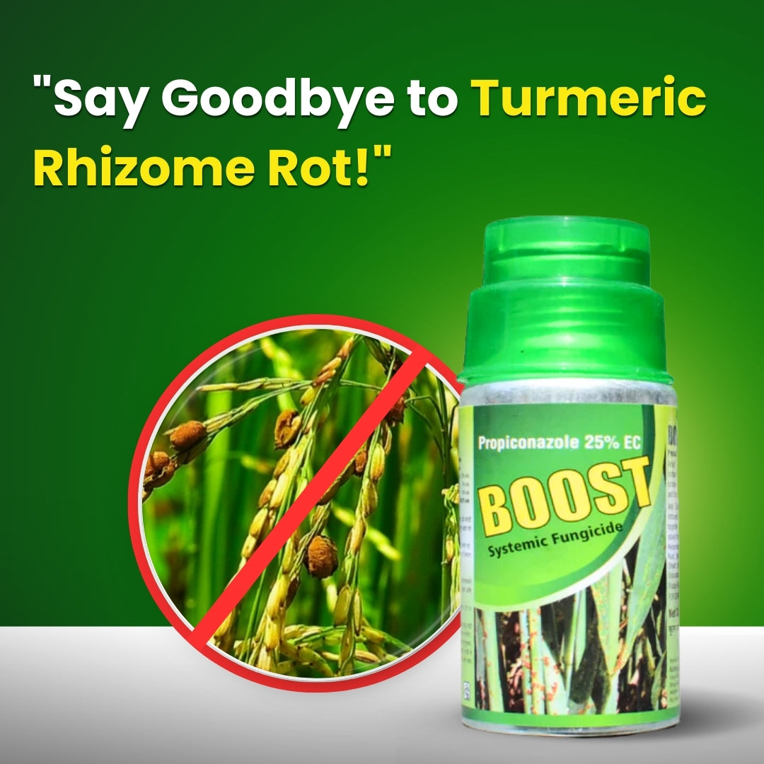 GGV Katyayani Boost Triple Shield Pack – Buy 1, Get 2 Free | Propiconazole 25% EC Systemic Fungicide
