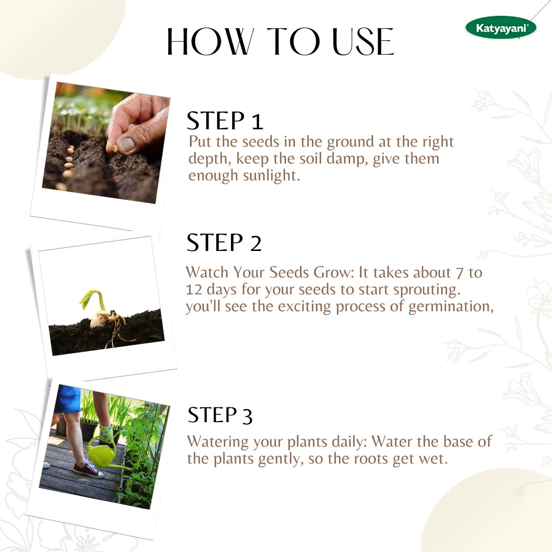 GGV Sunflower Oil  Flowering Seeds