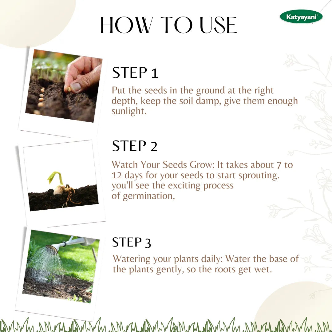 GGV Teak (Tectoma Grandis) 100 g Tree and Grass seeds