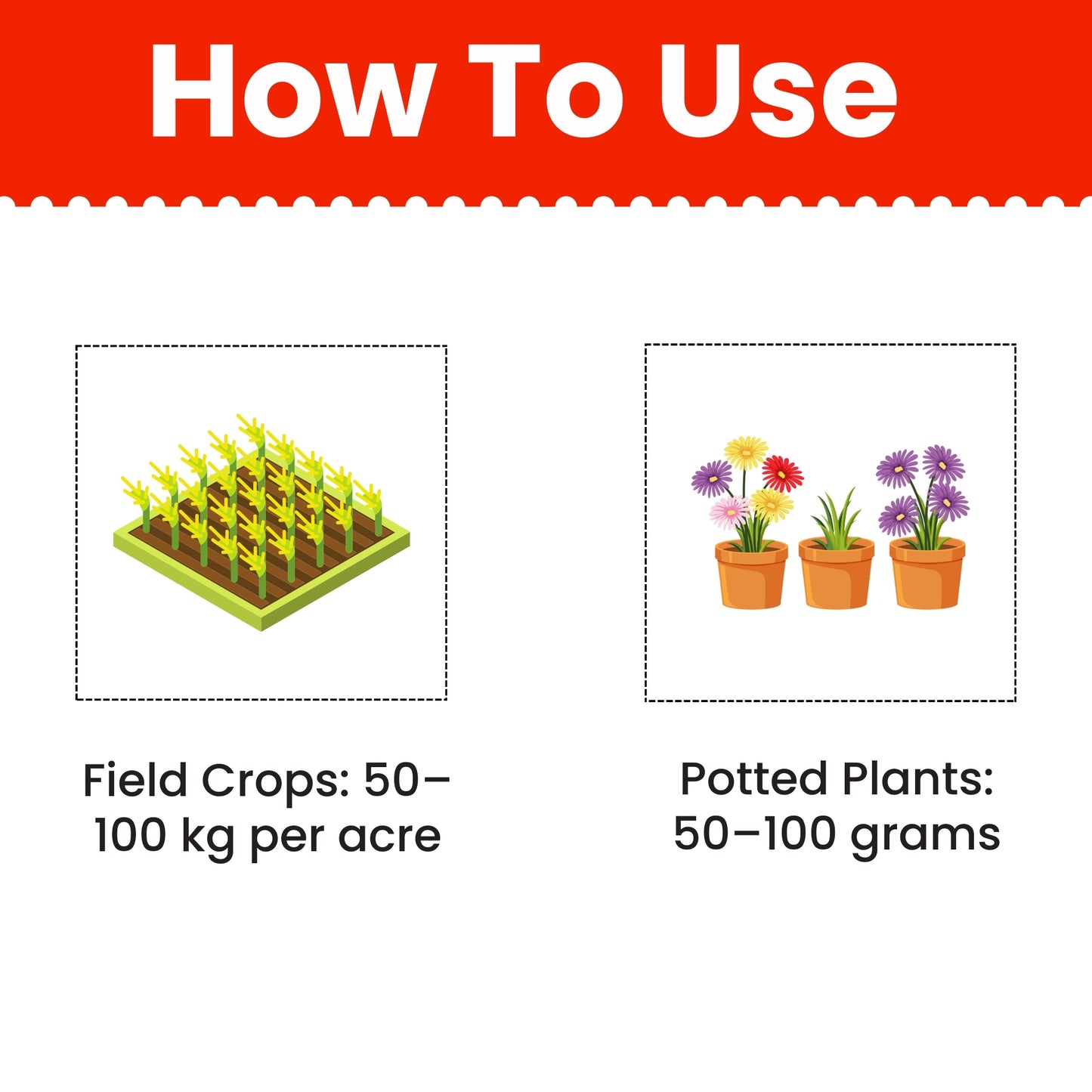 GGV Prom organic fertilizer