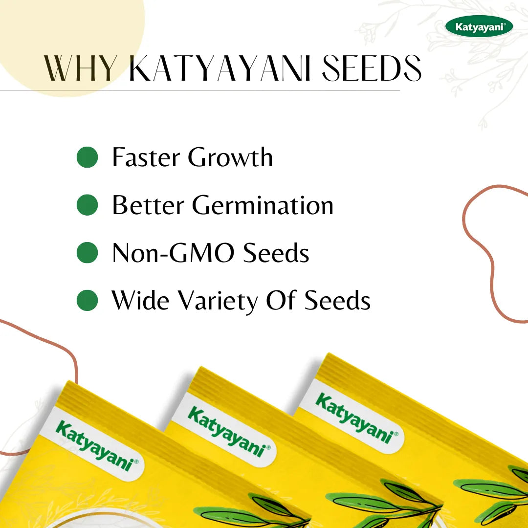 GGV Sunflower Oil  Flowering Seeds