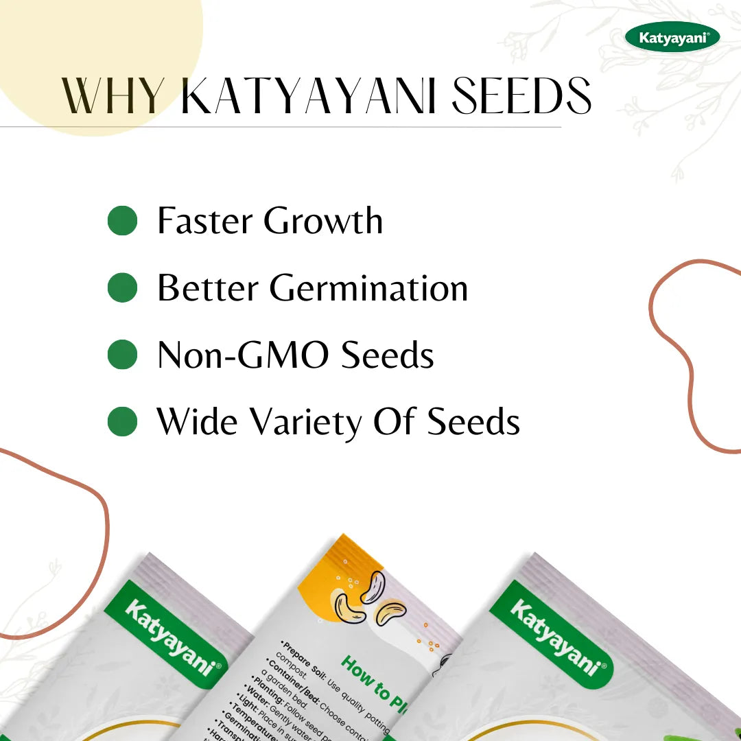 GGV Teak (Tectoma Grandis) 100 g Tree and Grass seeds