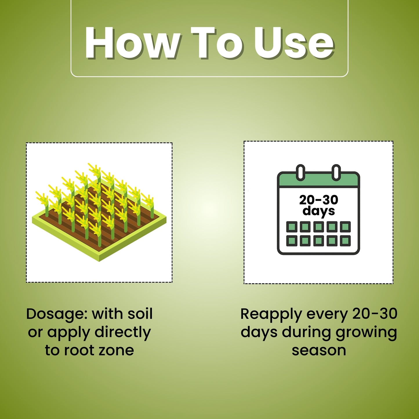 GGV K-RAJA (MYCORRIZA)