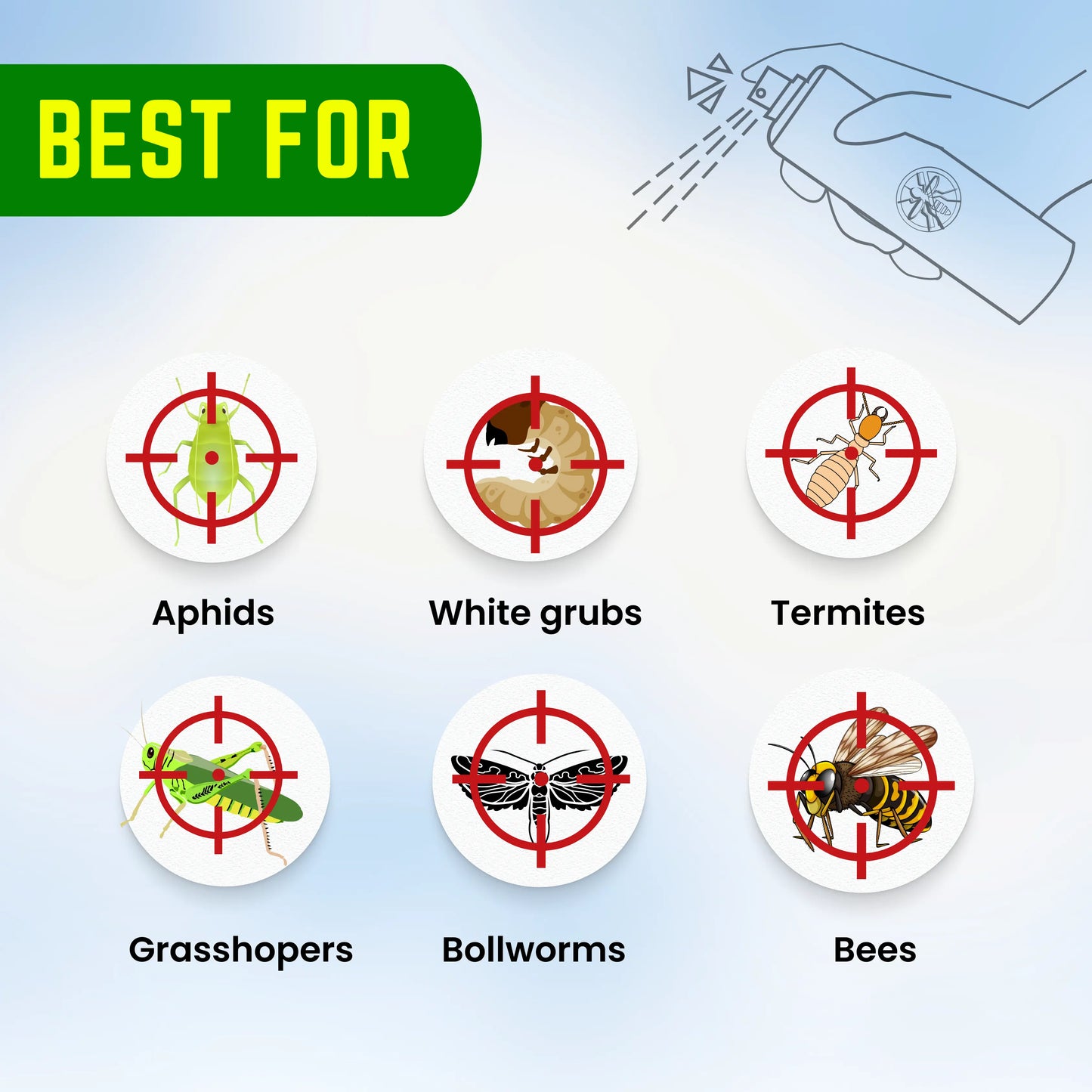 Metarhizium anisopliae بایو پیسٹیسائیڈ