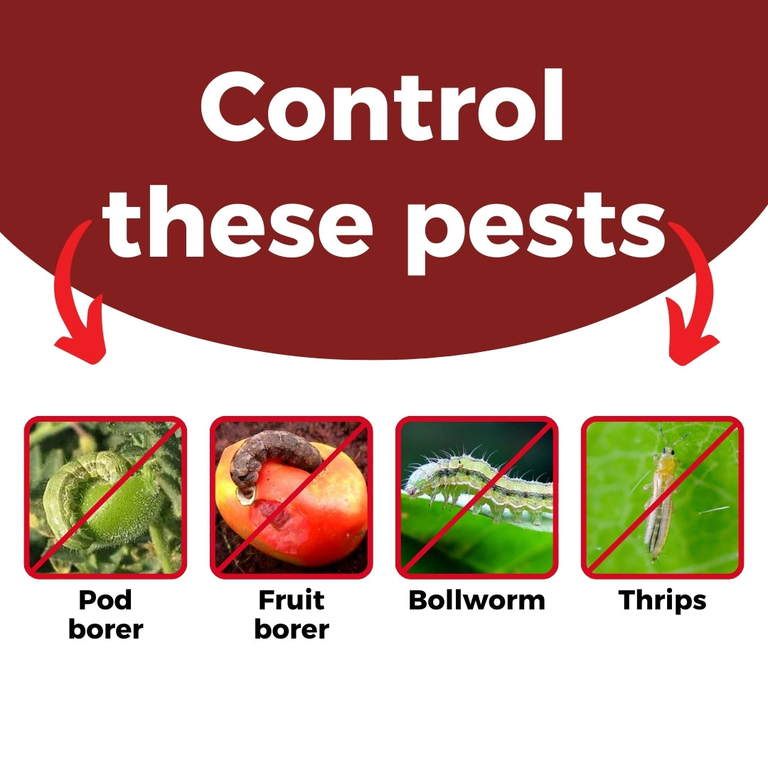 GGV Katyayani EMA 5 Triple Kill Pack – Buy 1, Get 2 Free | Emamectin Benzoate 5% SG Insecticide