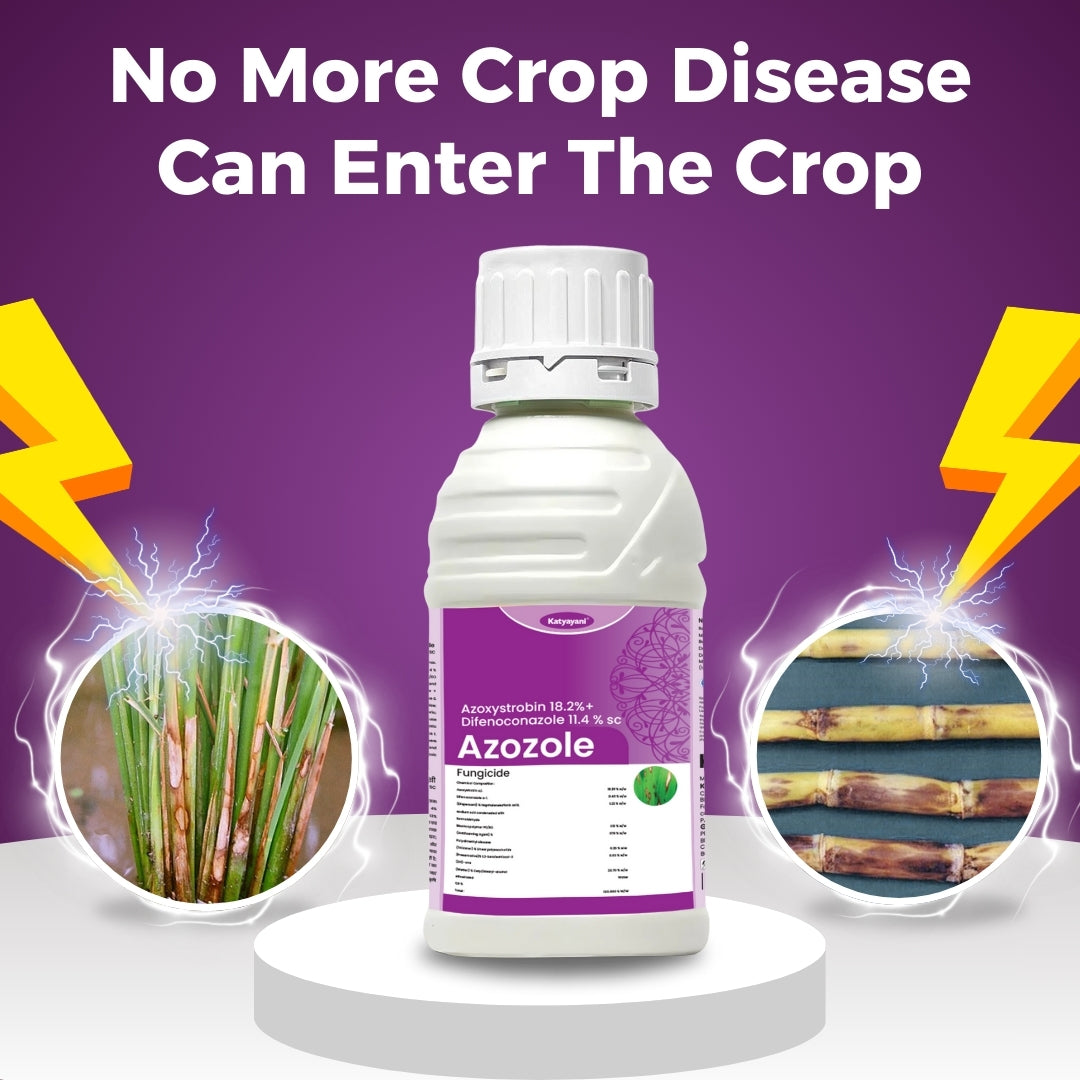 Katyayani Azozole Triple Action Pack – Buy 1, Get 2 Free | Dual Action Systemic Fungicide