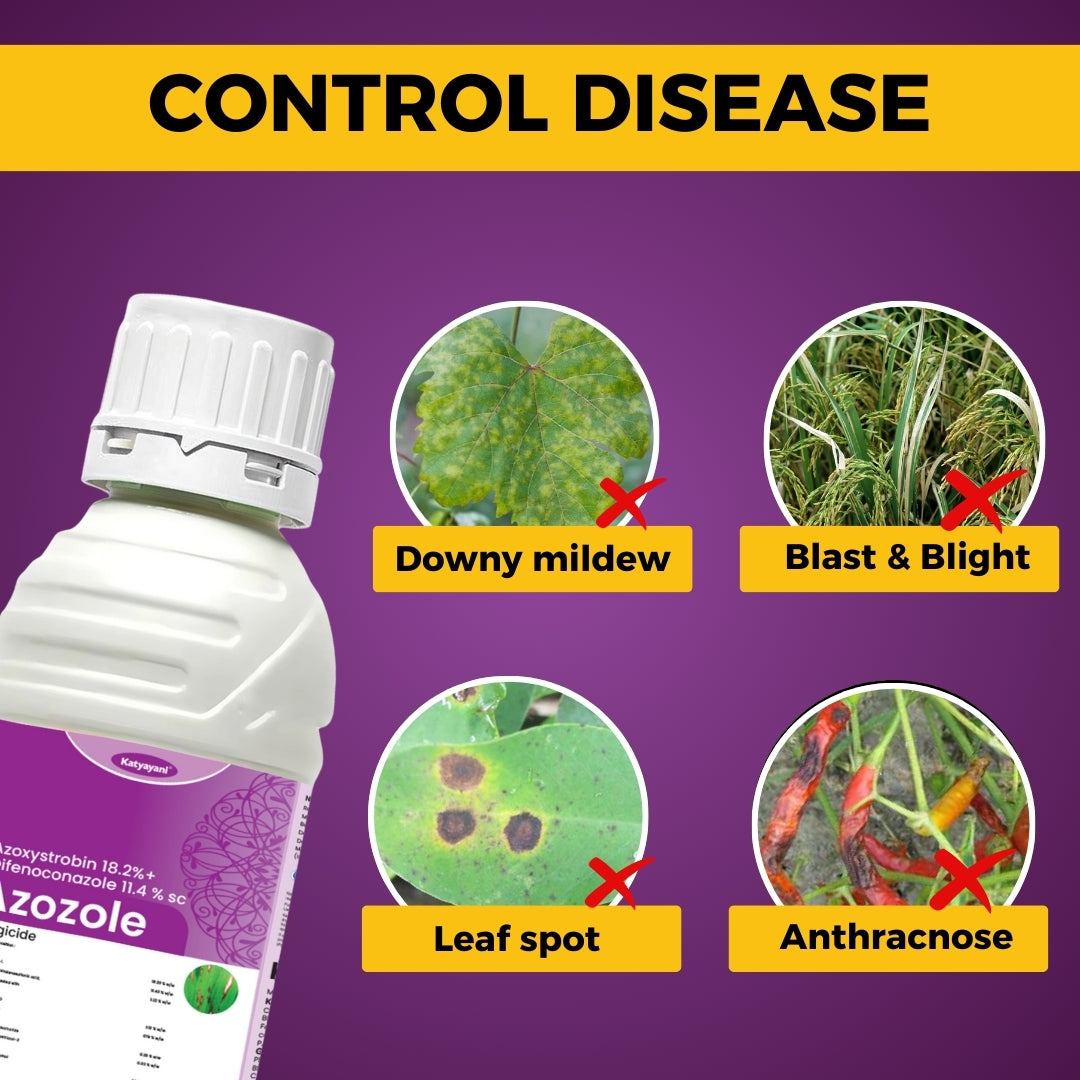 Katyayani Azozole Triple Action Pack – Buy 1, Get 2 Free | Dual Action Systemic Fungicide