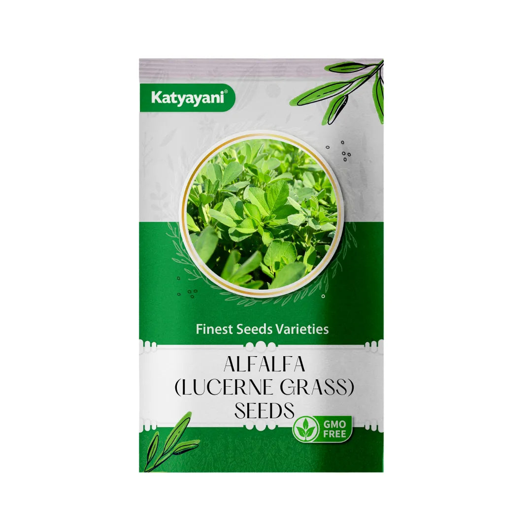 GGV Alfalfa (Lucerne grass) Tree and Grass Seeds