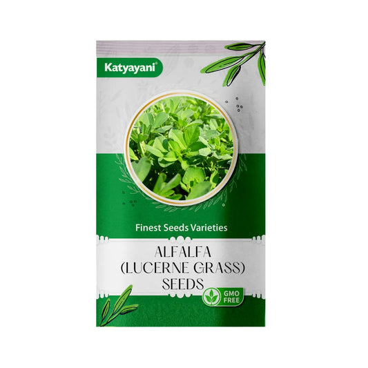 GGV Alfalfa (Lucerne grass) Tree and Grass Seeds