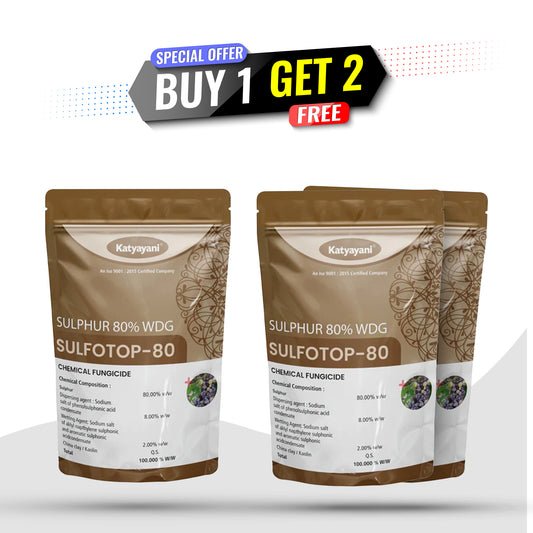 GGV Katyayani Sulfotop 80 Super Saver Pack – Buy 1, Get 2 Free | Sulphur 80% WDG for Fungus & Mite Control