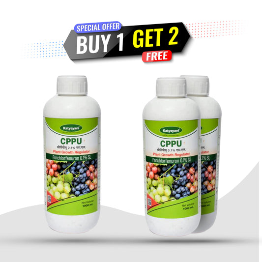 GGV CPPU Triple Yield Pack – Buy 1, Get 2 Free | Forchlorfenuron 0.1% for Bigger & Better Fruits