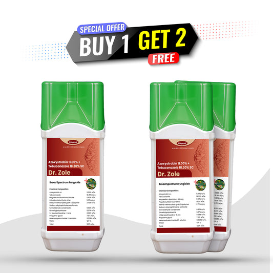 GGV Dr. Zole | Azoxystrobin 11% + Tebuconazole 18.3% SC 💥 Systemic Fungicide for Powdery Mildew, Blight & Rust 🎁 Buy 1 Get 2 Free