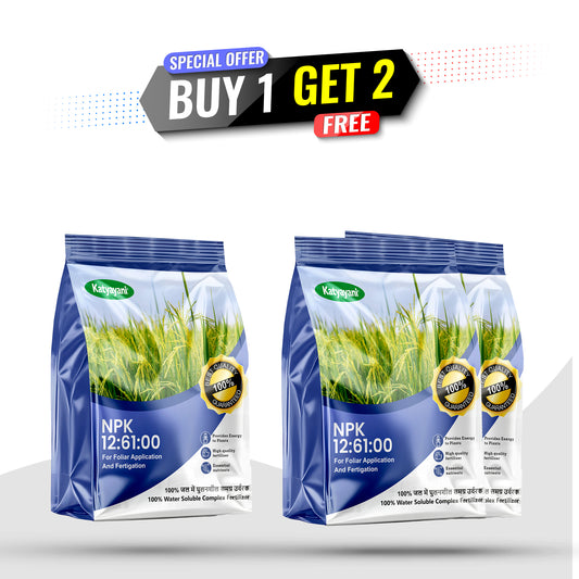 Katyayani GGV NPK 12:61:00 – Buy 1 Get 2 Free