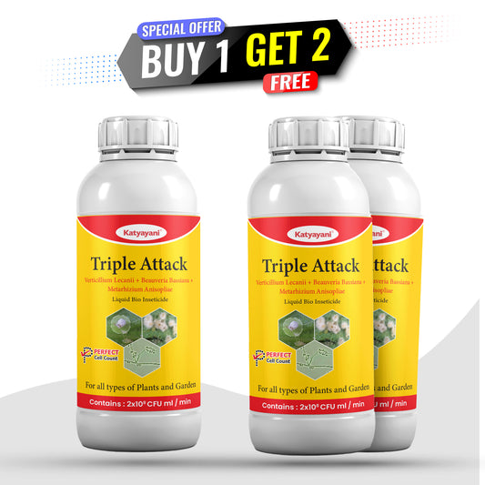 GGV Katyayani Triple Attack | Organic Liquid Insecticide for Thrips, Mealybug & Chewing Pests | Bio-Control for Vegetables, Fruits & Cereals | Buy 1 Get 2 Free Offer