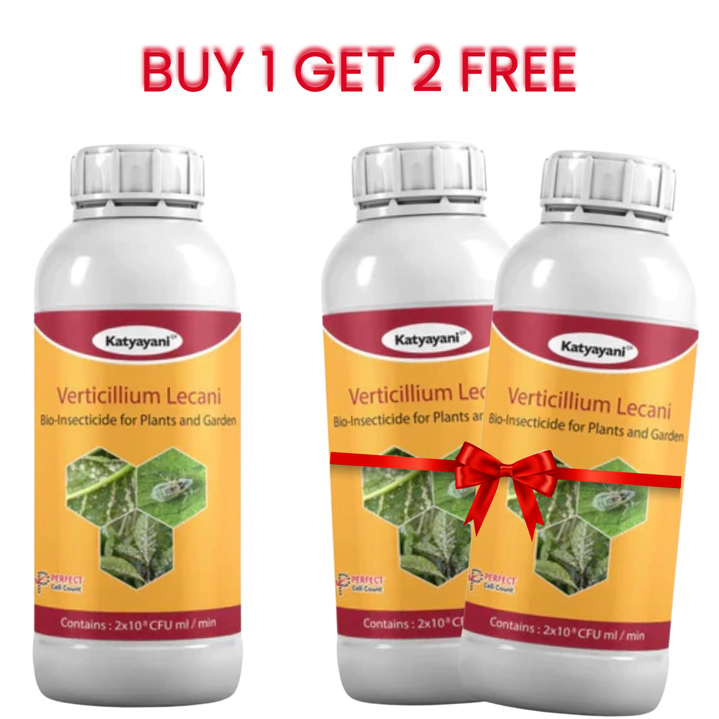 GGV Verticillium lecanii Bio pesticide