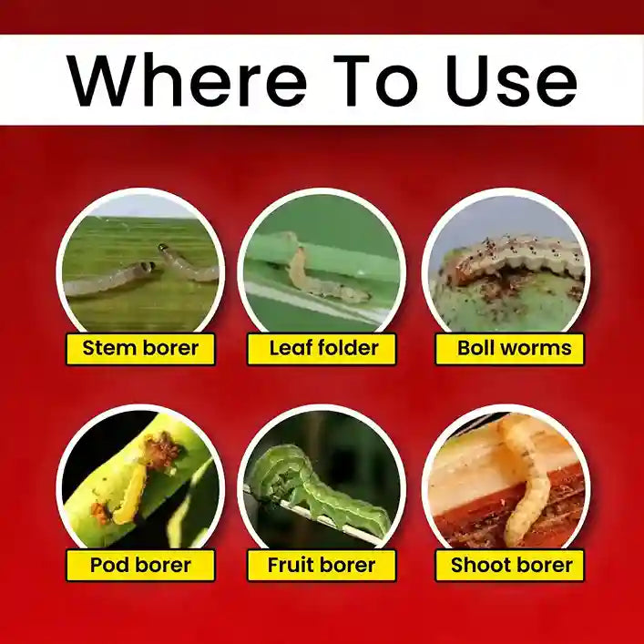 GGV Katyayani Chakraveer – Chlorantraniliprole 18.5% SC | Broad-Spectrum Insecticide for Crop Protection
