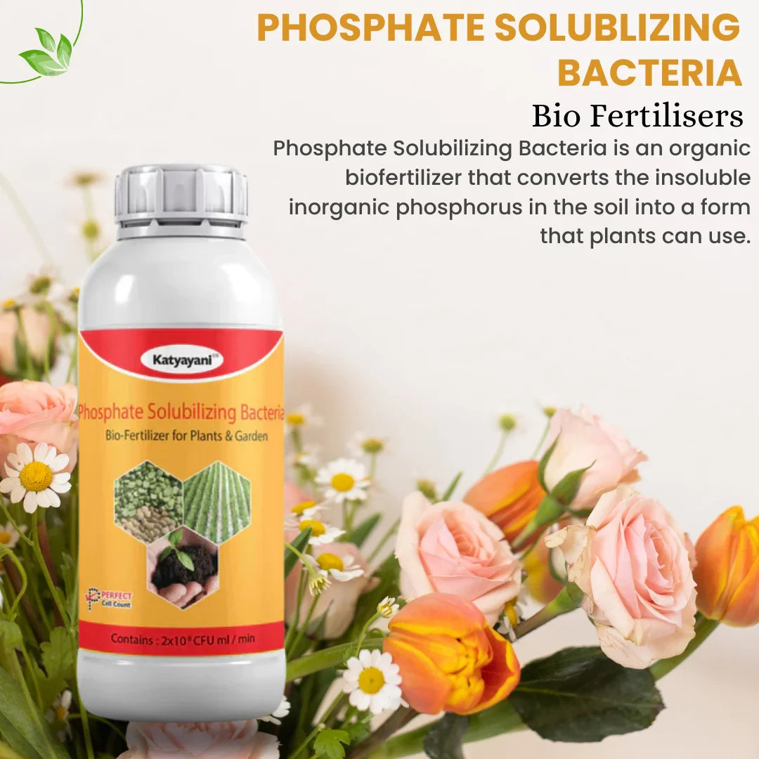 GGV Flowering boooster kit (Flower booster)250 ML,(Humic Fluvic)400 GM,(Phosphate Solubilising Bacteria)1 L