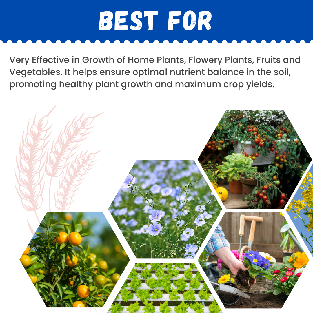 katyayani GGV NPK 12 61 00 (Mono Ammonium Phosphate Water Soluble Fertilizer)