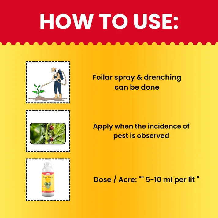Instructions on how to use a foliar spray and drenching method for pest control on plants.