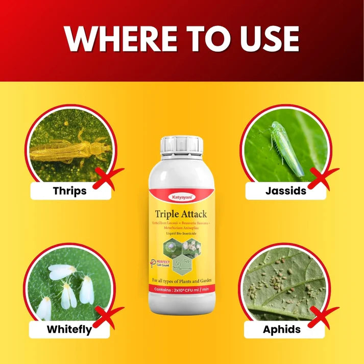 GGV Katyayani Triple Attack | Organic Liquid Insecticide for Thrips, Mealybug & Chewing Pests | Bio-Control for Vegetables, Fruits & Cereals | Buy 1 Get 2 Free Offer
