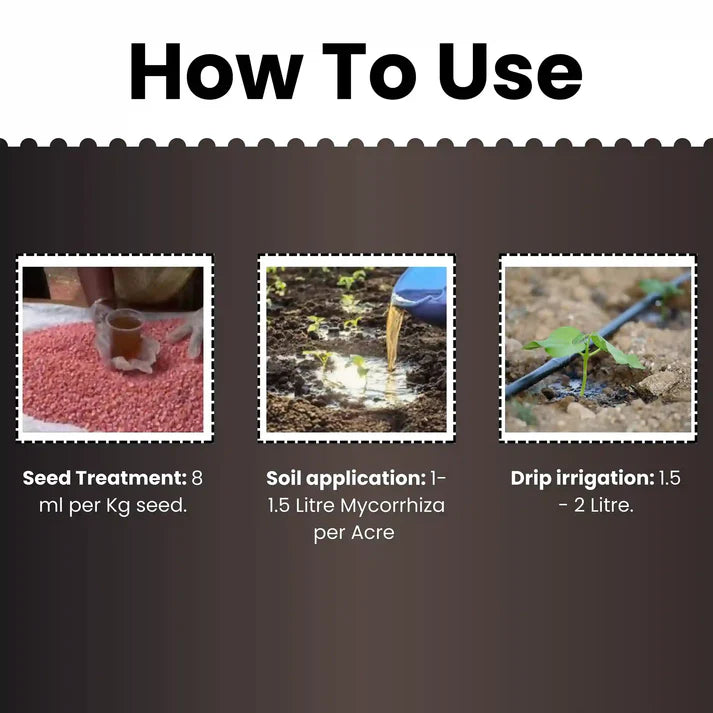 GGV Vesicular Arbuscular Mycorrhiza | Bio fertilizer