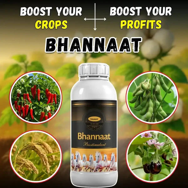 GGV Katyayani Bhannaat | Plant Growth Regulator (250 ML)