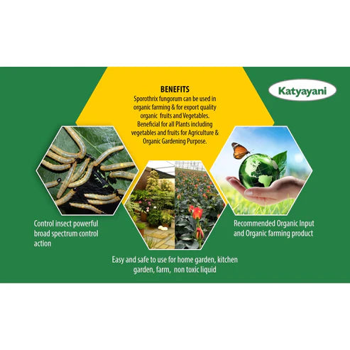 GGV Sporothrix Fungorum Bio Insecticide