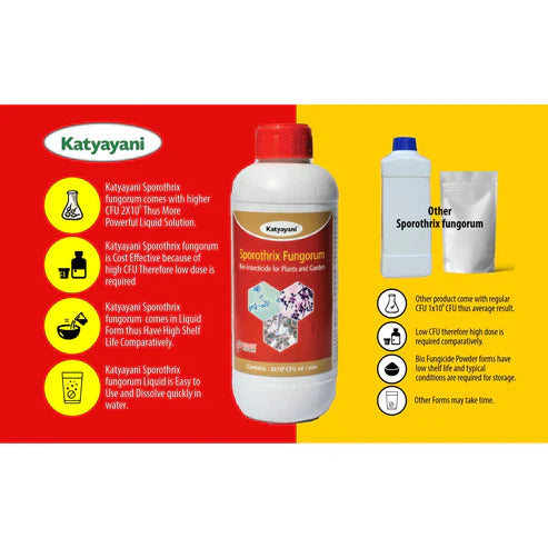 GGV Sporothrix Fungorum Bio Insecticide