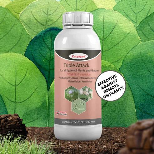 کاتیایانی VBM - Verticillium Lecanii + Beauveria Bassiana + Metarhizium Anisopliae بائیو کیڑے مار دوا