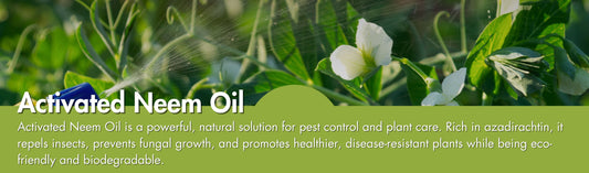 Activated Neem oil