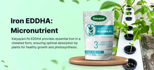 Iron EDDHA Micronutrient