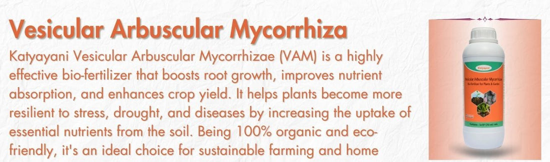 Vesicular Arbuscular Mycorrhiza 