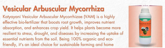 Vesicular Arbuscular Mycorrhiza 