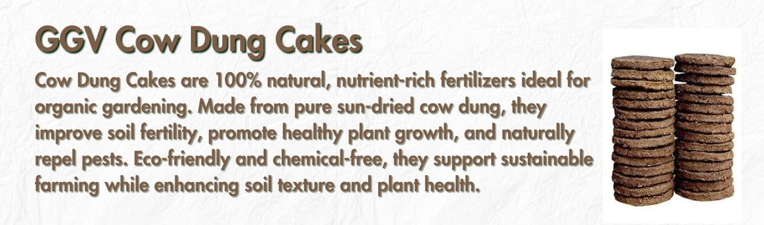 Cow Dung Cakes