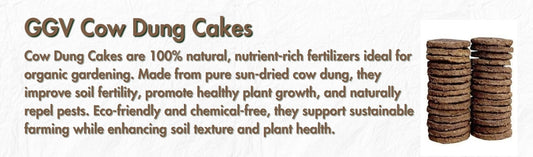  Cow Dung Cakes