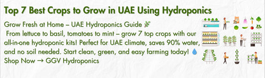 Hydroponics 