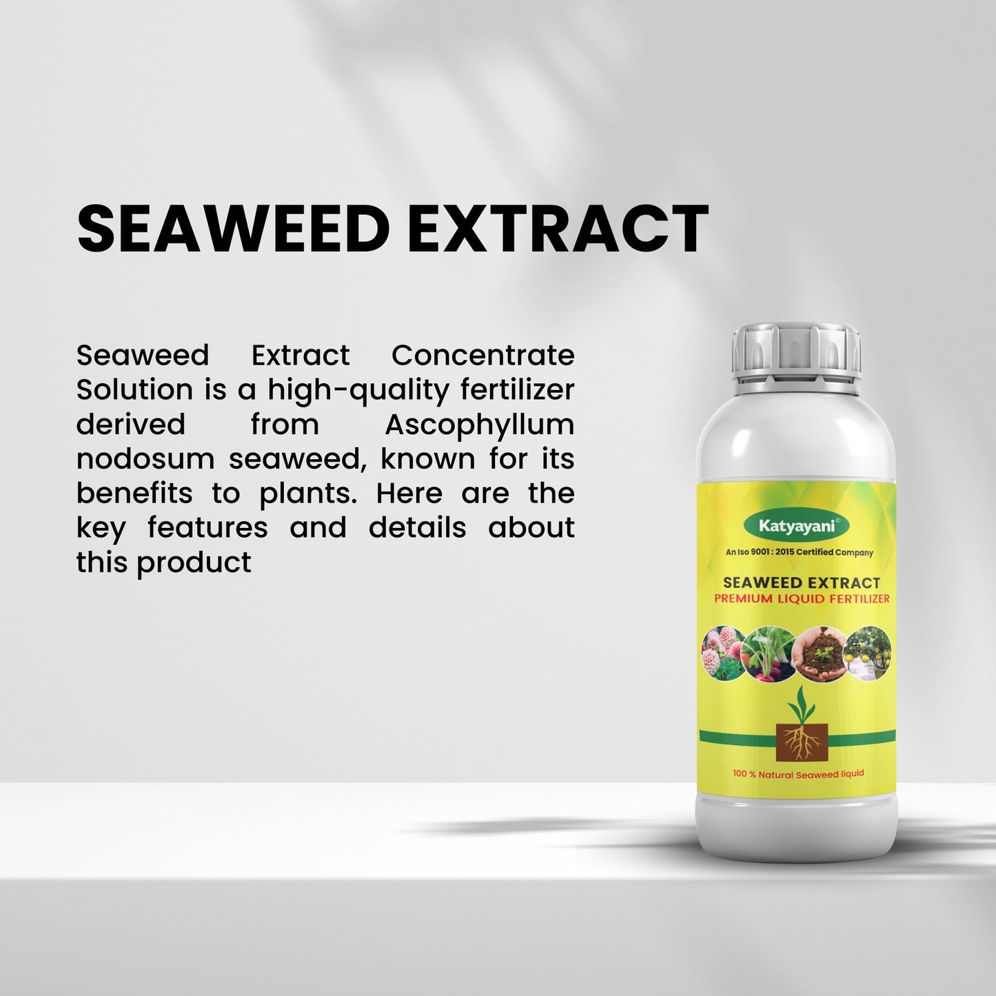 GGV Organic Liquid Seaweed Fertilizer