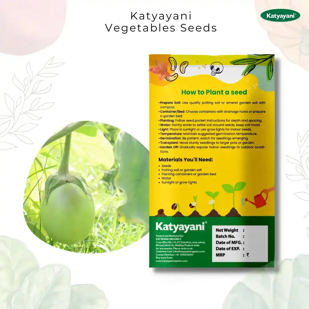 GGV Green Brinjal (Long) Vegetable seeds