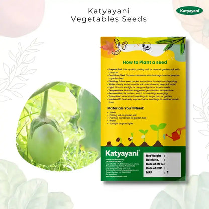 GGV Green Brinjal (Long) Vegetable seeds