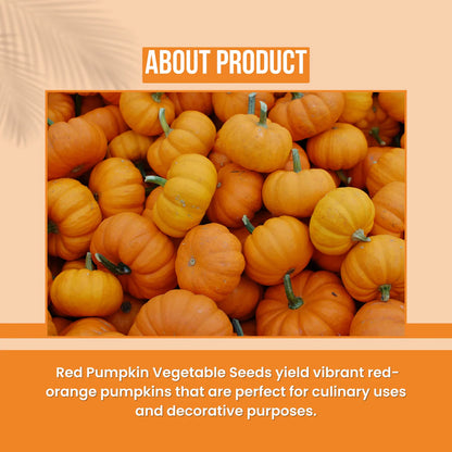 GGV Red Pumpkin Vegetable Seeds