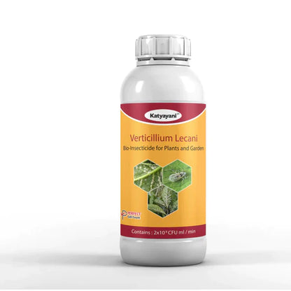 GGV Verticillium lecanii Bio pesticide