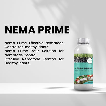 GGV KATYAYANI NEMA PRIME (Pochonia chlamydposporia 1%) BIO PESTICIDE LIQUID